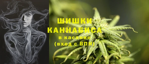 стафф Армянск
