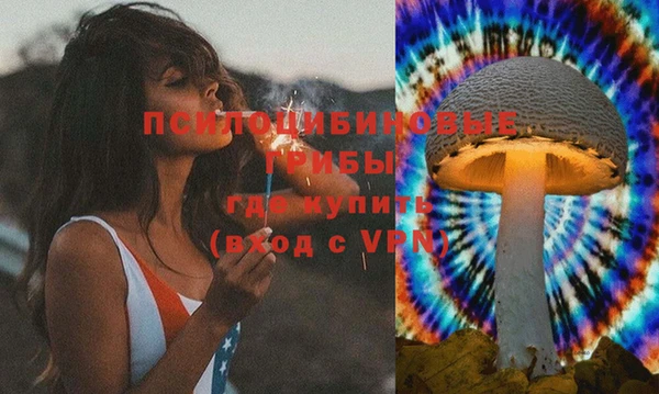 стафф Армянск